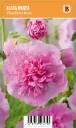 Tarhasalkoruusu
Alcea rosea ’Pleniflora Rose’ VIPS