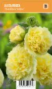 Tarhasalkoruusu
Alcea rosea ’Pleniflora Yellow’ VIPS