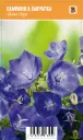 Karpaattienkello, sininen
Campanula carpatica ’Blaue Clips’ VIPS
