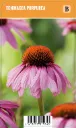 Kaunopunahattu, punainen
Echinacea purpurea VIPS