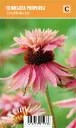 Punahattu
Echinacea purpurea ’Doubledecker’ VIPS