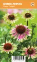Punahattu
Echinacea purpurea ’Green Twister’ VIPS