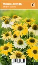 Punahattu
Echinacea purpurea ’Mellow Yellows’ VIPS
