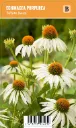 Kaunopunahattu, valkoinen
Echinacea purpurea ’White Swan’ VIPS