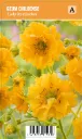 Punakellukka, keltainen
Geum chiloense ’Lady Stratheden’ VIPS