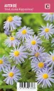 Reunusasteri – Aster dumosus ’Prof. Anton Kippenberg’ VIPS