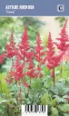 Angervo, Tarhajaloangervo, punainen – Astilbe arendsii ’Fanal’ VIPS
