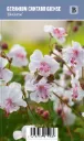 Peittokurjenpolvi – Geranium cantabrigiense ’Biokovo’ VIPS