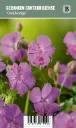 Peittokurjenpolvi – Geranium cantabrigiense ’Cambridge’ VIPS
