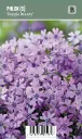 Sammalleimu, liila – Phlox subulata ’Purple Beauty’ VIPS