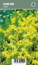 Keltamaksaruoho – Sedum acre ’Aurea’ VIPS