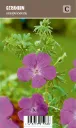 Verikurjenpolvi – Geranium sanguineum VIPS