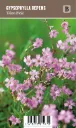 Mätäsharso, vaaleanpunainen – Gypsophila repens ’Filou Pink’ VIPS