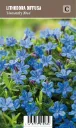 Sinilemmiö – Lithodora diffusa ’Heavenly Blue’ VIPS