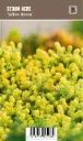 Keltamaksaruoho – Sedum acre ’Yellow Queen’ VIPS