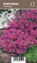 Harmaa-ajuruoho, punainen – Thymus praecox ‘Red Carpet’ Vips