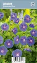 Loistokurjenpolvi – Geranium ‘Johnson’s Blue’ VIPS