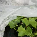 Kompostoituva hallaharso 1,6x10m