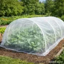 Tuhohyönteisverkko 15 m² 3,6 × 4,2 m