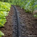 Tihkukasteluletku 7,5 m