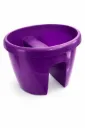 Kaideruukku / Aitaruukku violetti